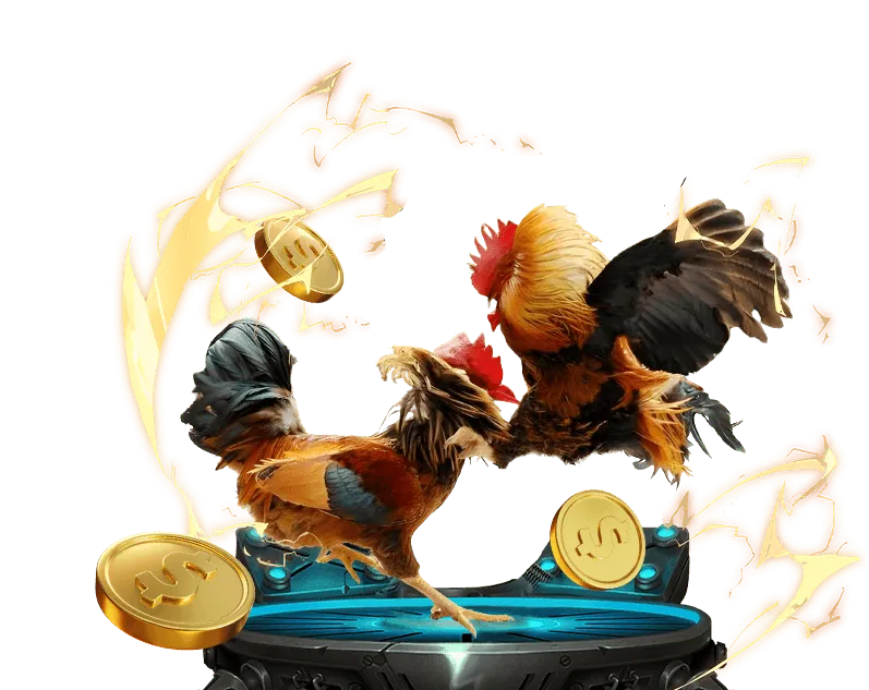 Cá cược bóng đá hcm66